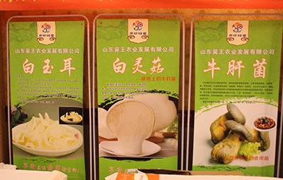 宴会照片